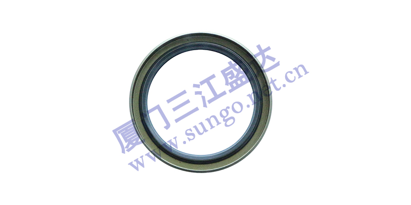 影響油封正常運(yùn)轉(zhuǎn)的因素有哪些？