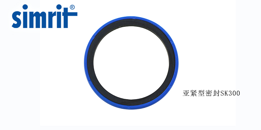 德國旋轉(zhuǎn)骨架油封，讓密封效果更好